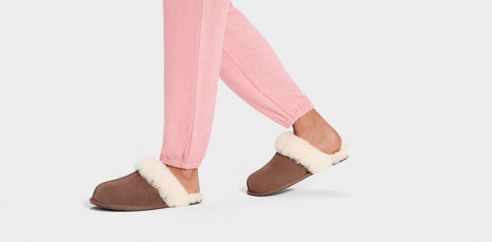 Ugg Scuffette Ii - Womens Slippers - Chocolate - NZ (6792GLPZE)